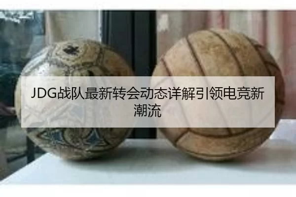 JDG战队最新转会动态详解引领电竞新潮流